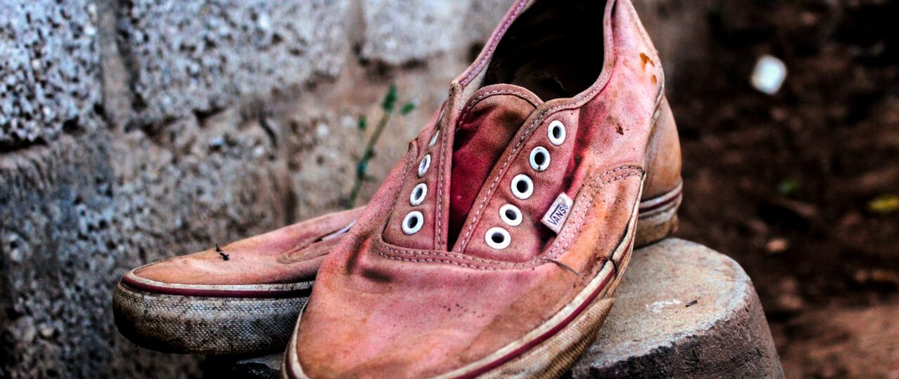 selective focus photo of pair of pink Vans low-top sneakers on top of gray concrete block
