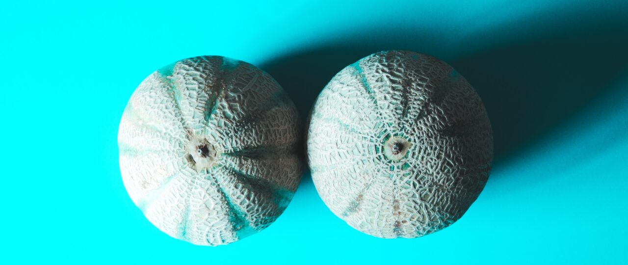 two grey fruits